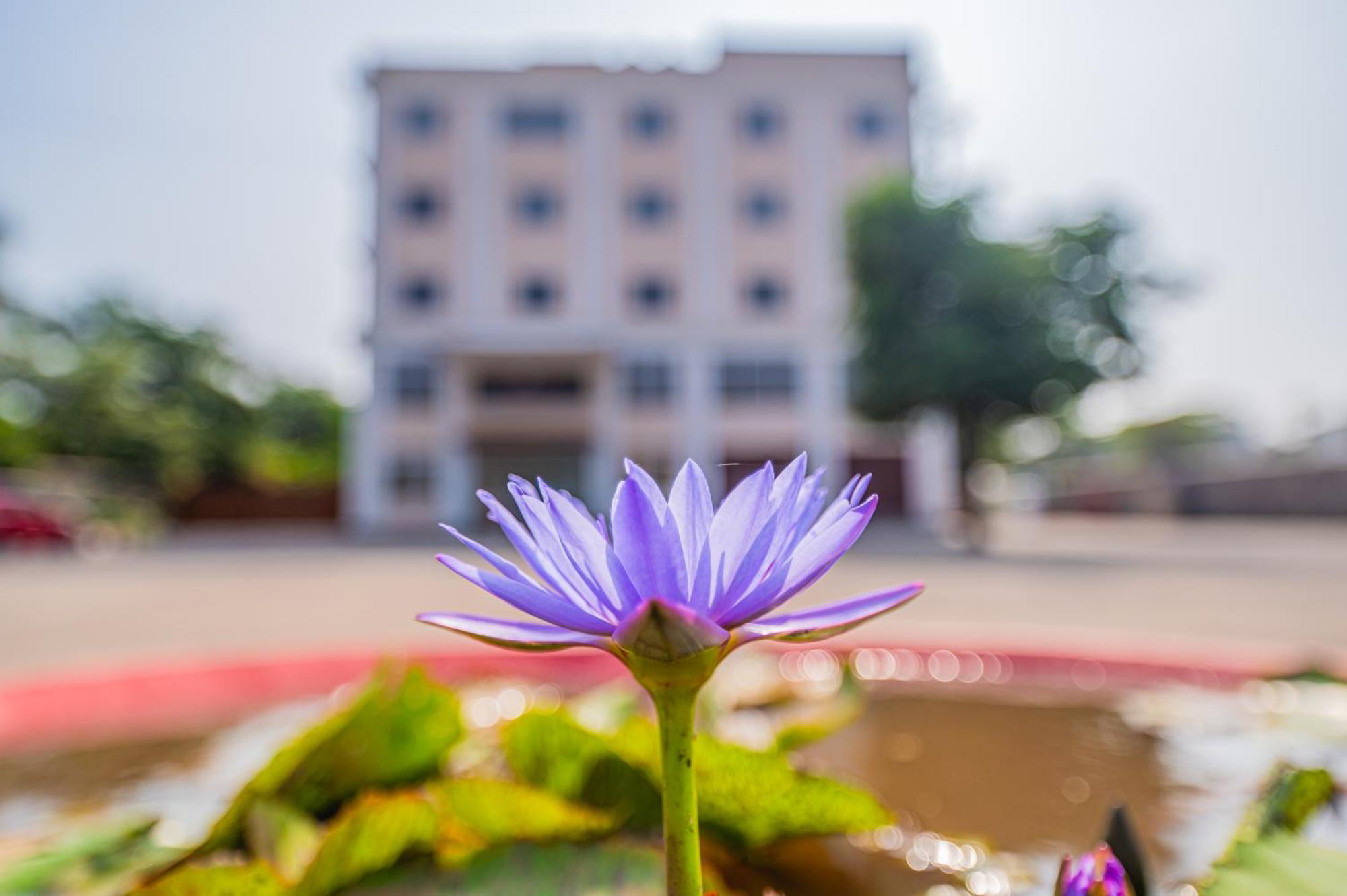 Lotus Leaf Ξενοδοχείο Pali  Εξωτερικό φωτογραφία